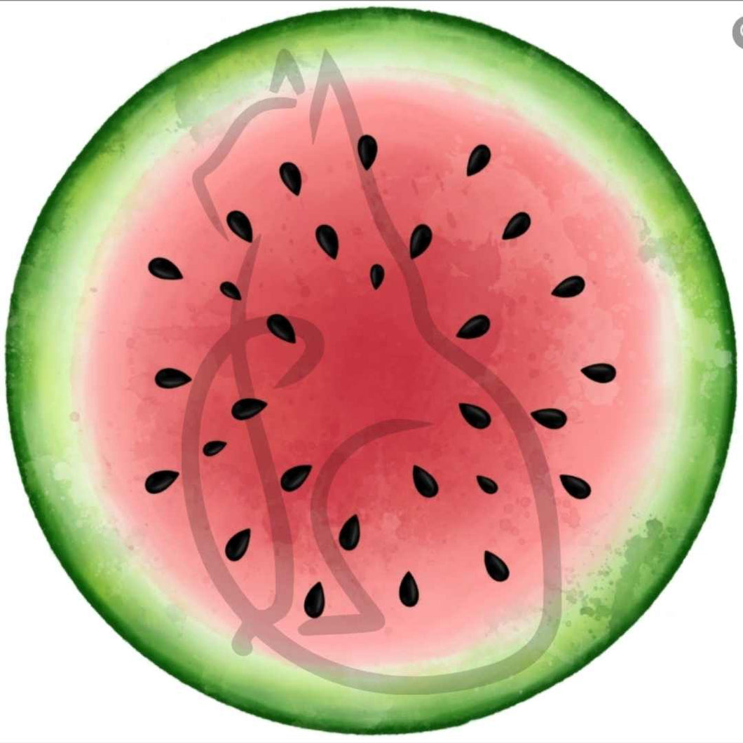 RETAIL 23- Watermelon Circle Panel - All Bases
